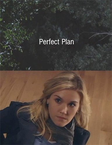 Отличный план / Perfect Plan (2010) SATRip